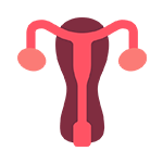 Patient with Ovulatory Dysfunction