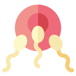 Previous poor fertilization with IVF